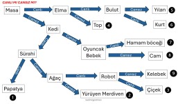 3. Sınıf Fen Bilimleri - Canlı ve Cansız Varlıklar
