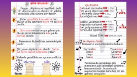Şiir Bilgisi Defter Özeti