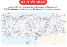 Tek ve Çift Sayılar Boyama Etkinliği