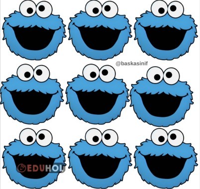 Gelişim raporu Rulo Kılıf Görseli