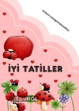 Uğur böceği karne kılıfı kapak 10 renk