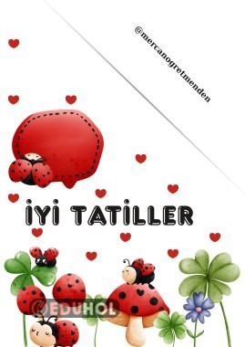 Uğur böceği karne kılıfı