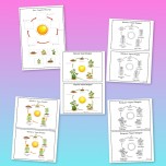 Bitkilerin yaşam döngüsü