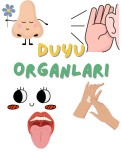 Duyu Organları