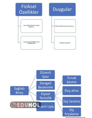 Hayat Bilgisi Kavram Haritaları