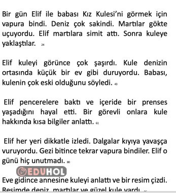 Hızlı Okuma Metni 9