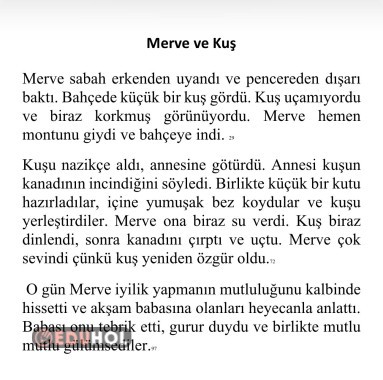 Okuma Hızı Metni 2