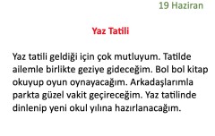 Haftalık Ödev Çizelgesi 15-19 Haziran