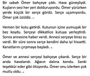 HIZLI OKUMA METNİ 11