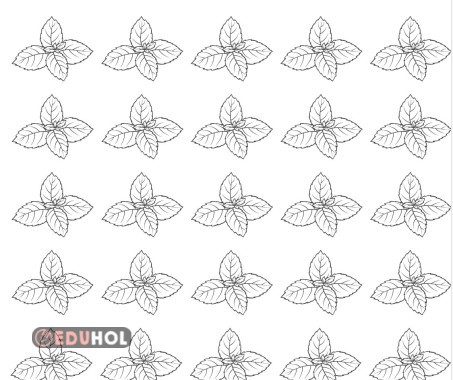 nane defter görseli