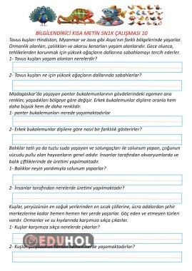 Bilgilendirici Kısa Metin 5N1K Çalışması 10