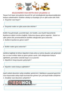 Bilgilendirici Kısa Metin 5N1K Çalışması 11