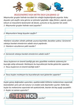 Bilgilendirici Kısa Metin 5N1K Çalışması 12