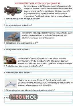 Bilgilendirici Kısa Metin 5N1K Çalışması 48