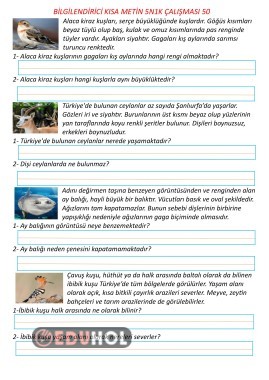 Bilgilendirici Kısa Metin 5N1K Çalışması 50