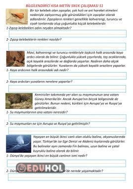 Bilgilendirici Kısa Metin 5N1K Çalışması 51