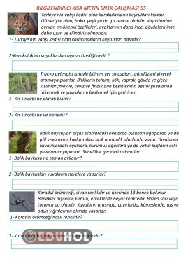 Bilgilendirici Kısa Metin 5N1K Çalışması 55