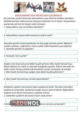 Bilgilendirici Kısa Metin  5N1K Çalışması 8