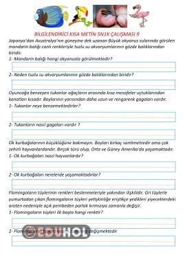 Bilgilendirici Kısa Metin 5N1K Çalışması 9