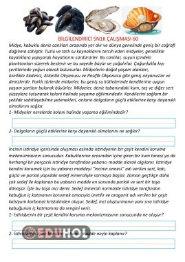 Bilgilendirici Metin 5N1K 60