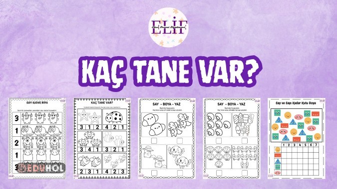 Kaç Tane Var?