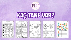 Kaç Tane Var?