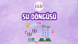 Su Döngüsü