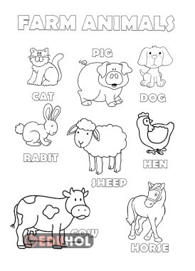 colour the animals