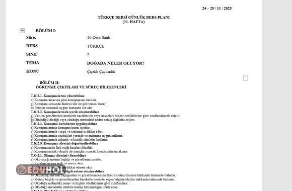 2.SINIF 11.HAFTA GÜNLÜK DERS PLANLARI