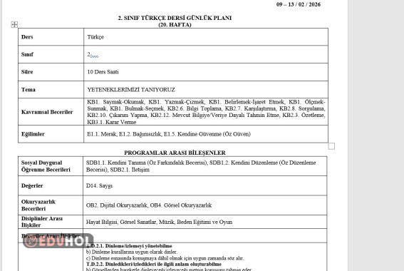 2.SINIF 20.HAFTA(9-13 ŞUBAT 2025)GÜNLÜK DERS PLANLARI