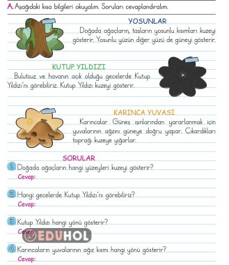 2.SINIF HAYAT BİLGİSİ DOĞAYI GÖZLEMLERİM YÖNÜMÜ BULURUM ETKİNLİK