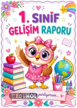 Baykuş gelişim raporu kapağı