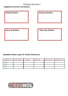 CANLILARDA SİNDİRİM SİSTEMİ ETKİNLİKLERİ