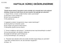 Haftalık değerlendirme