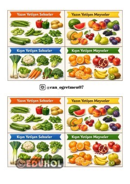 MEVSİMİNE GÖRE MEYVE VE SEBZELER DEFTER İÇİN YAPIŞTIRMA