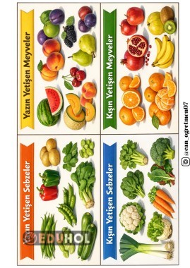 MEVSİMİNE GÖRE MEYVE VE SEBZELER PANO AFİŞ