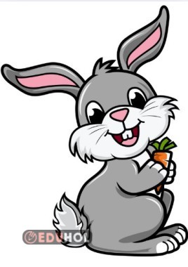 ÜNLÜ HARFLER PANOUSUNUN TAVŞANI A3