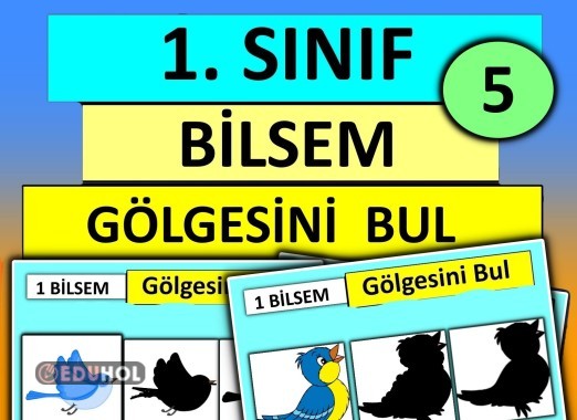 1. Sınıf - Bilsem Gölgesini Bul