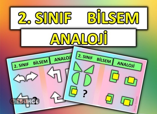 2. Sınıf - Bilsem - Analoji