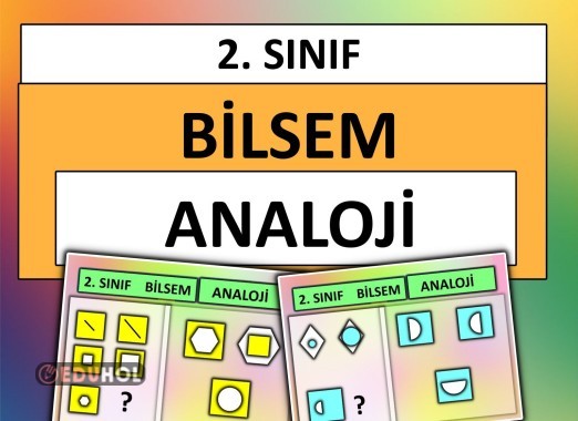 2. Sınıf - Bilsem - Analoji