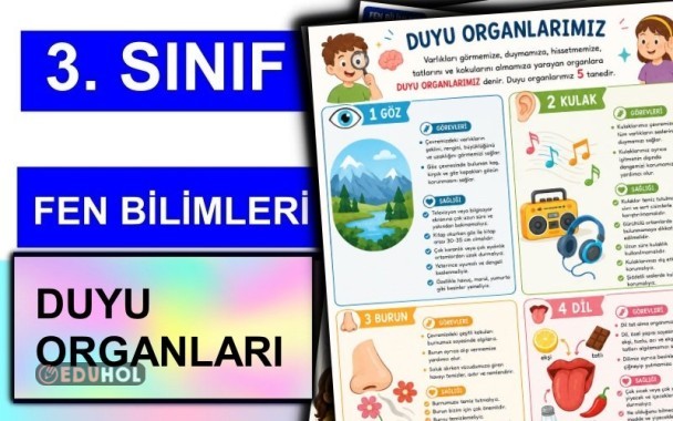 3. Sınıf - Fen Bilimleri - Duyu Organları
