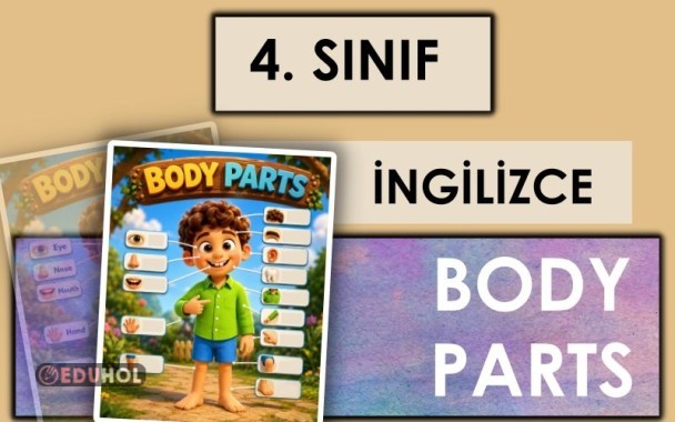 4. Sınıf - İngilizce - Body Parts