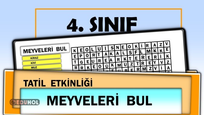 4. Sınıf - Tatil Etkinliği : Meyveleri Bul