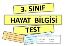 3. Sınıf - Hayat Bilgisi : TEST