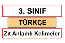 3. Sınıf Türkçe - Zıt Anlamlı Kelimeler