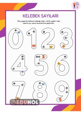 Sayıların Yazılışı