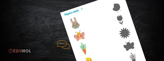 Gölgelerini eşleştir; 1 (YAZ-SİL)