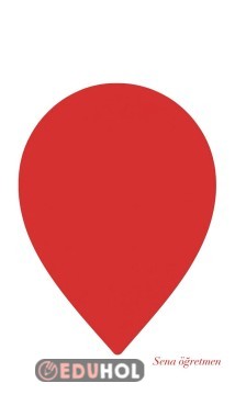 Cumhuriyet Çiçeği 🌸