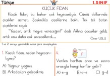 Değerlendirme 1 (Türkçe Matematik Hayat Bilgisi)