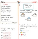 Değerlendirme 3 (Türkçe Matematik Hayat Bilgisi)